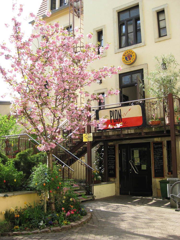 Hostel Louise 20 Dresden Exterior foto